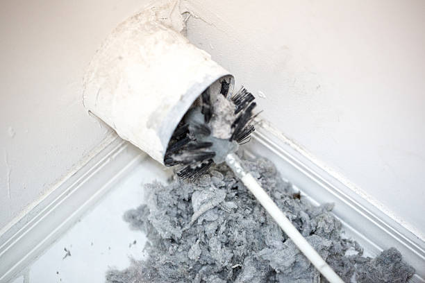 Best Duct Cleaning for Homes  in USA